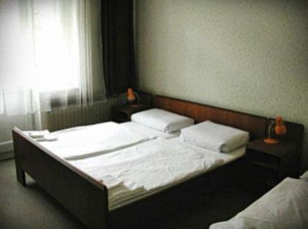 Michle Praga